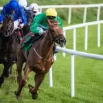 Types Of Horse Races For Betting Enthusiasts