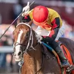 horse Basin Kentucky Derby Odds