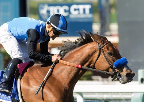 justify odds derby 2018