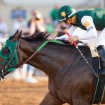 Balt D' Oro horse - Kentucky Derby Odds