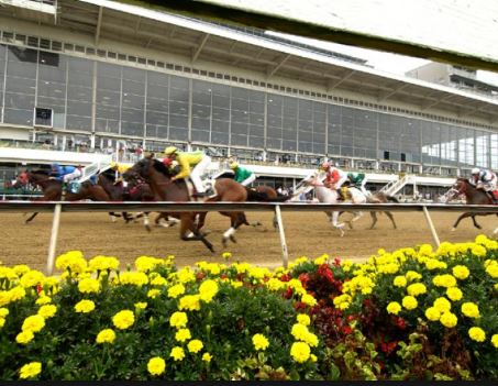 pimlico preakness odds 2018