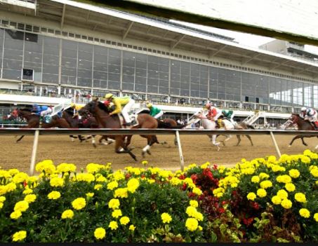 pimlico preakness odds 2018