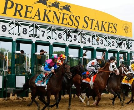 bet on Preakness 2018