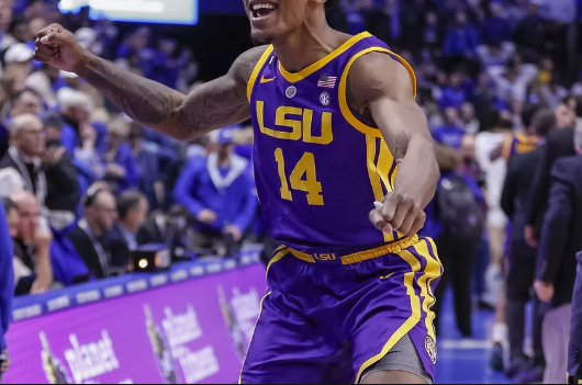 fla vs lsu free pick march 6, 2019