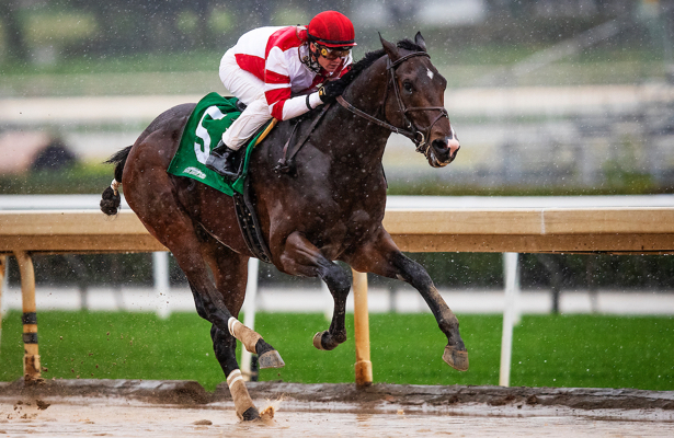 2019 Kentucky Derby Odds