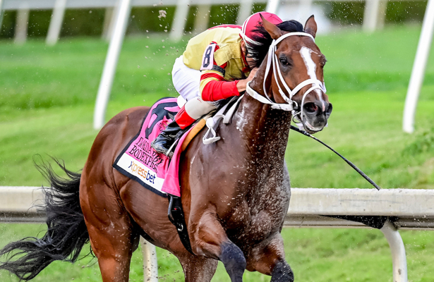 Preakness Stakes Betting odds for 2019