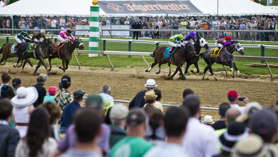 preakness preview