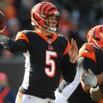 Begals odds before and after dalton announced as starter
