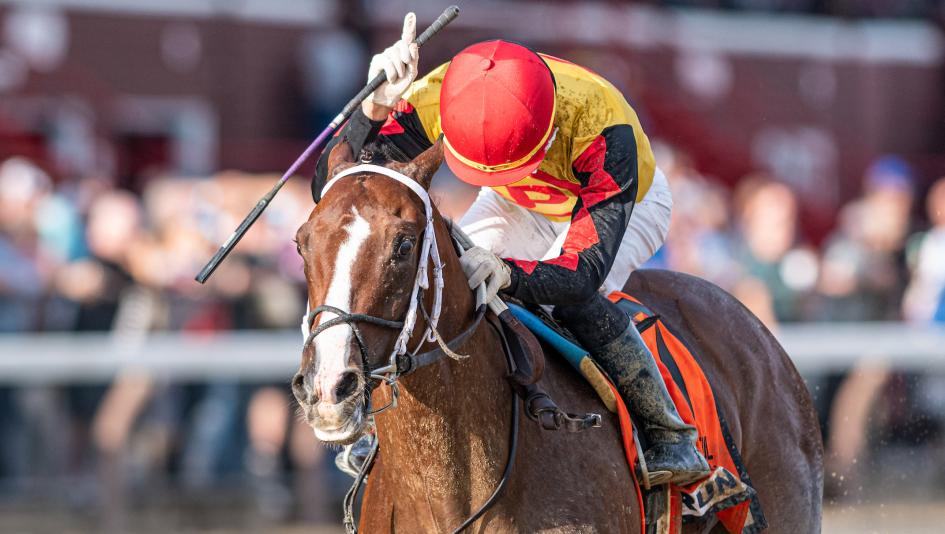 horse Basin Kentucky Derby Odds