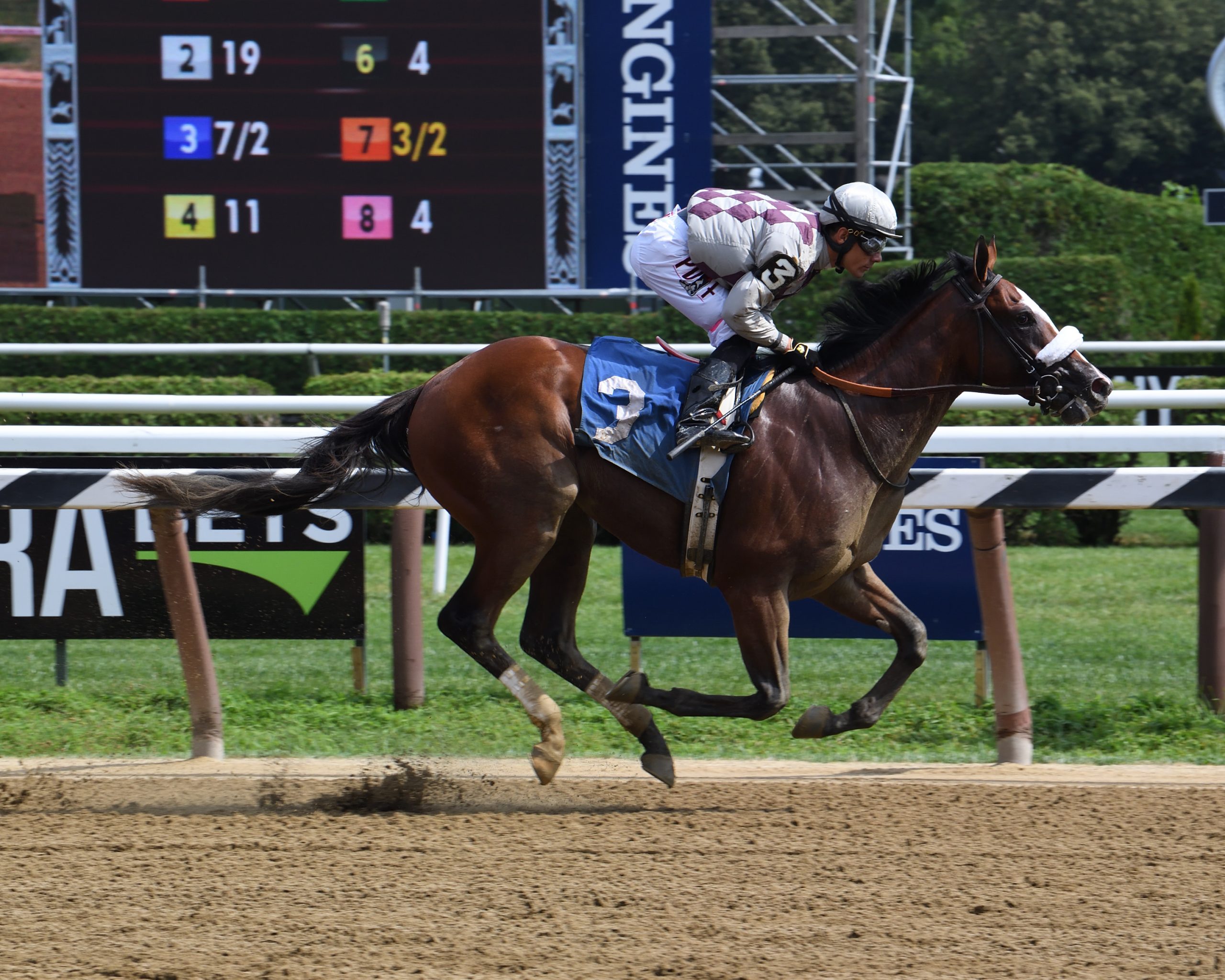 Kentucky Derby Odds