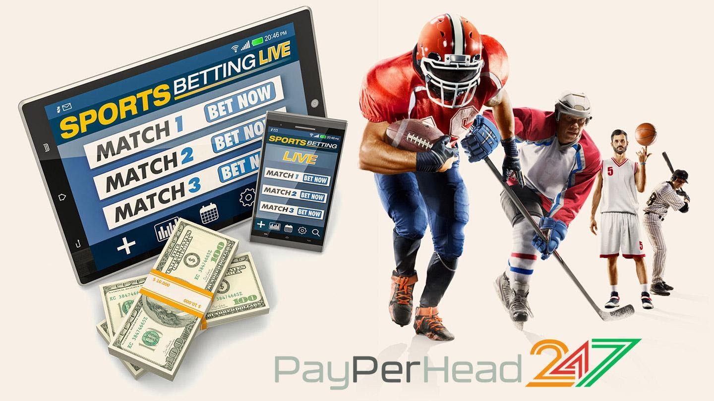pay per head sportsbook