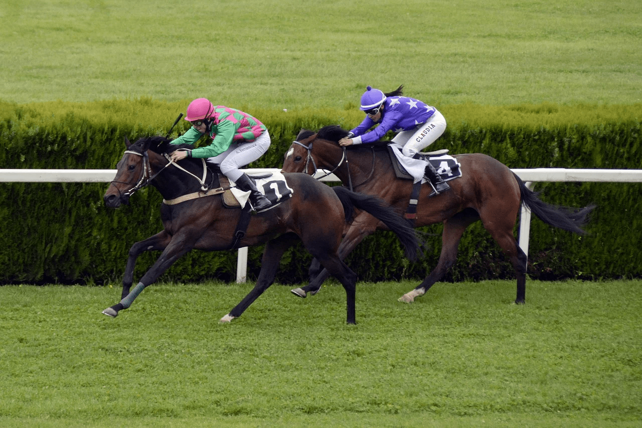 Preakness Stakes