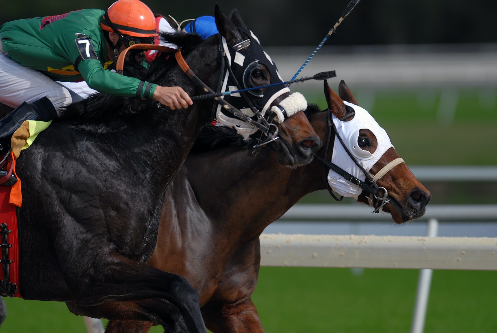 2021 Kentucky Derby Ticket Information, Packages, & Offers Sportsbook