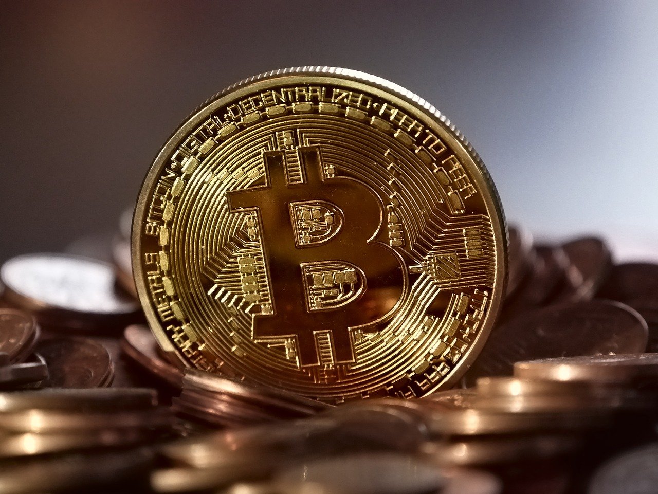 betting bitcoin