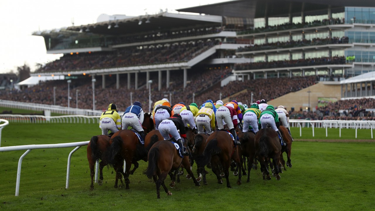 Cheltenham Festival Betting Sites – Sportsbook Advisor