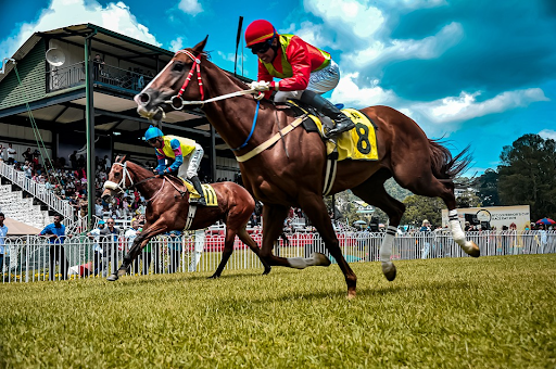 Learn How to Bet on Horse Racing With These 5 Easy Steps –