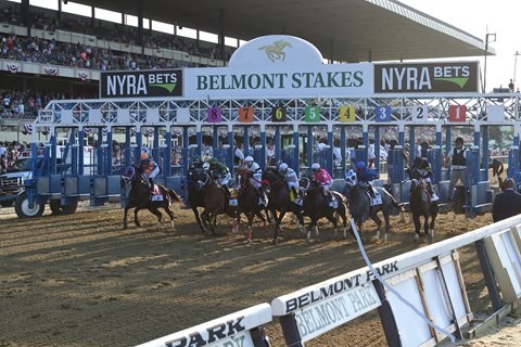 Belmont Odds Update and Picks from Two Sources –