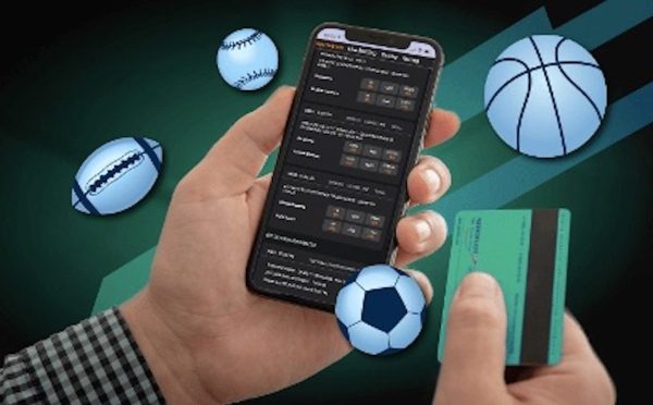 sportsbook and pay per head software