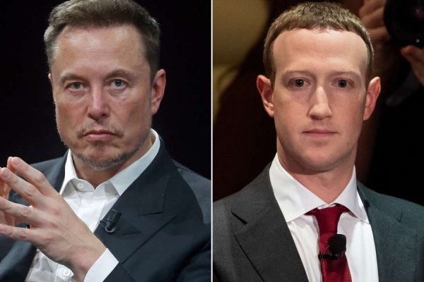 Musk Zuckerberg fight odds