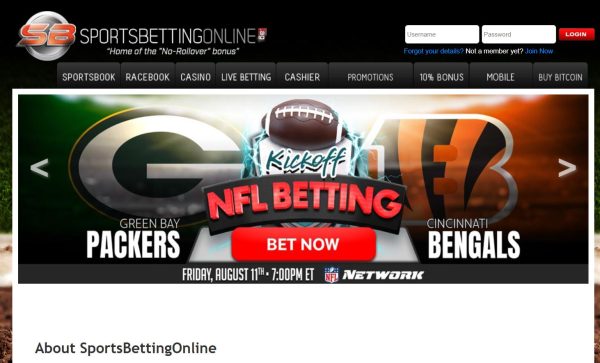 sportsbettingonline review