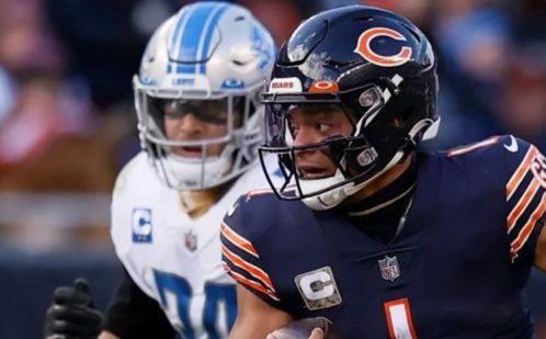 Bears vs Lions free pick