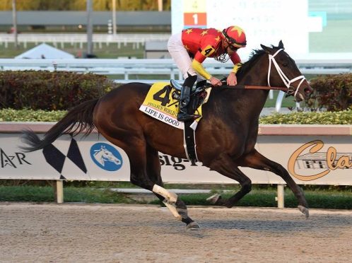 $3 million Pegasus World Cup (Saturday)