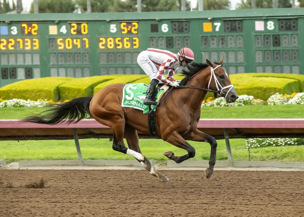 Journalism and jockey Umberto Rispoli win the Grade II, $200,000 Los Alamitos Futurity, Saturday, December 14, 2024 at Los Alamitos Race Course, Cypress CA.