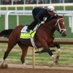 2025 Kentucky Derby preview and pick