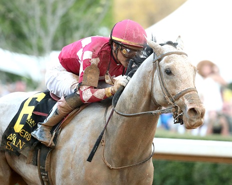 Sandman Kentucky Derby 2025
