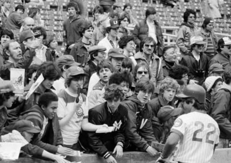 Cubs fans 1970's